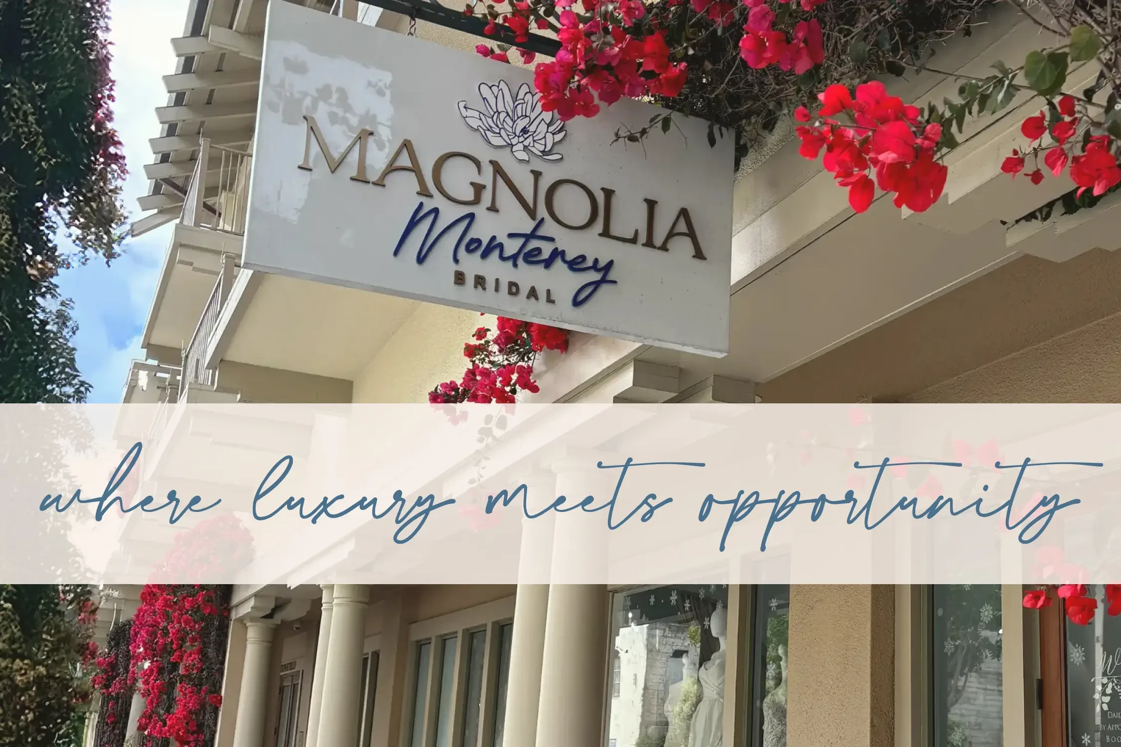 Events at Magnolia Monterey Background