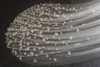 Lamnhi Studio Style# LS32 - Deep V Cape Cathedral #2 Off White thumbnail