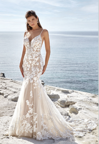 Eddy K Style# Selena #1 IV/CH/NU/SK thumbnail