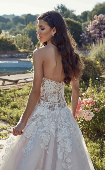 Eddy K Style# Sarah #3 default Iv thumbnail