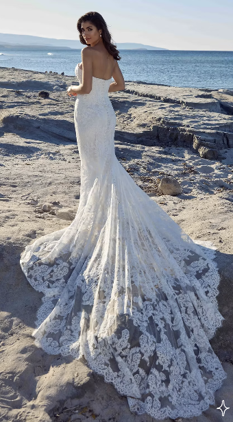 Eddy K Style# Nirvana #5 Iv thumbnail