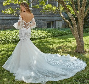 Eve of Milady Style# 1652 #4 default Ivory/Blush thumbnail